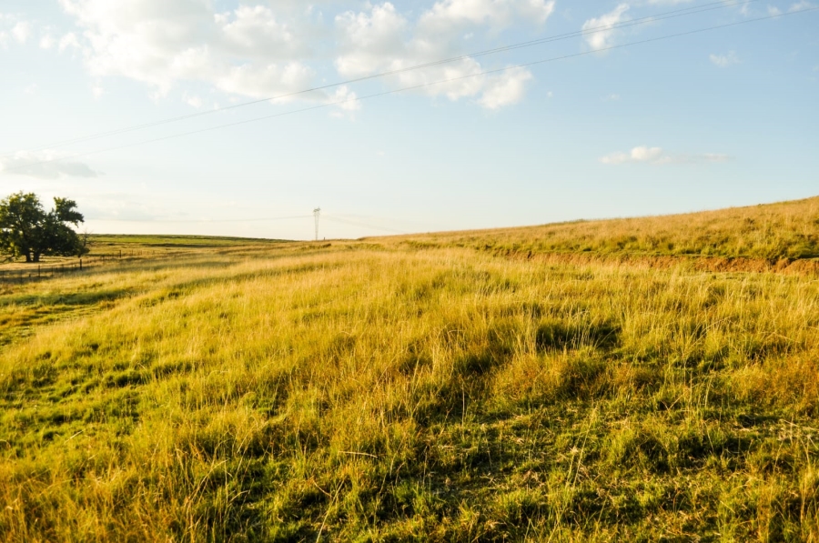 Commercial Property for Sale in Reitz Free State